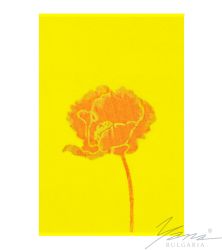 Strandtuch Velour Poppy
