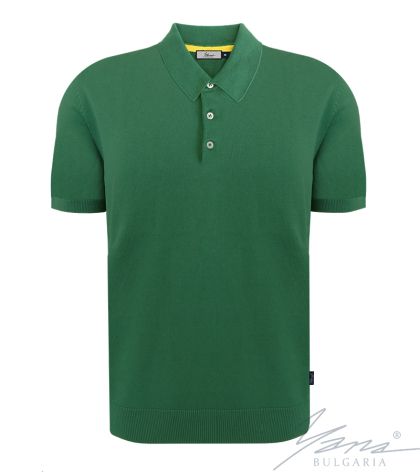 Herrenpoloshirt, kurze Ärmel, grun