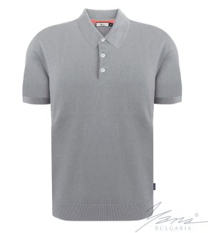 Herrenpoloshirt, kurze Ärmel, grau